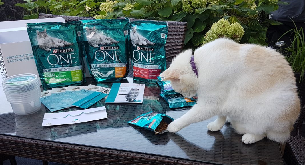 Purina One