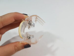Linzi Clip